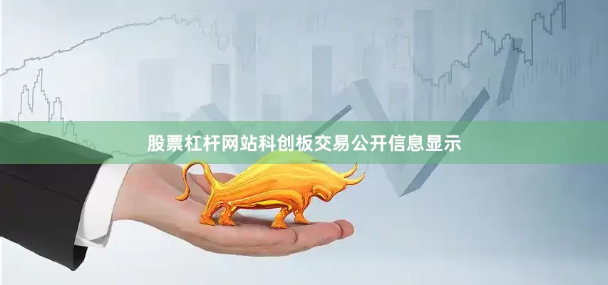 股票杠杆网站科创板交易公开信息显示