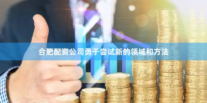 合肥配资公司勇于尝试新的领域和方法