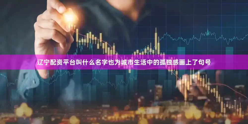 辽宁配资平台叫什么名字也为城市生活中的孤独感画上了句号